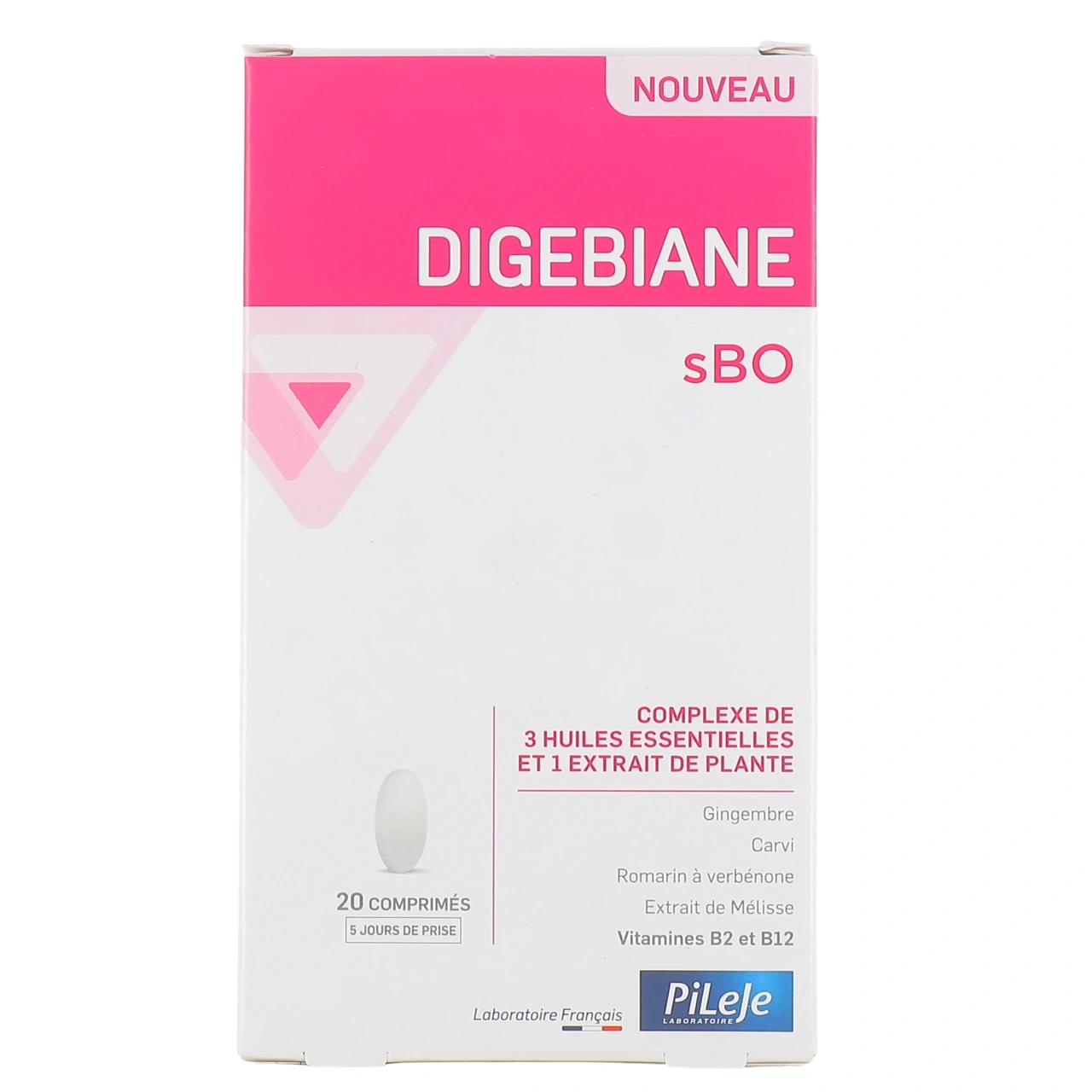 Pileje Digebiane sBO - Vue 2