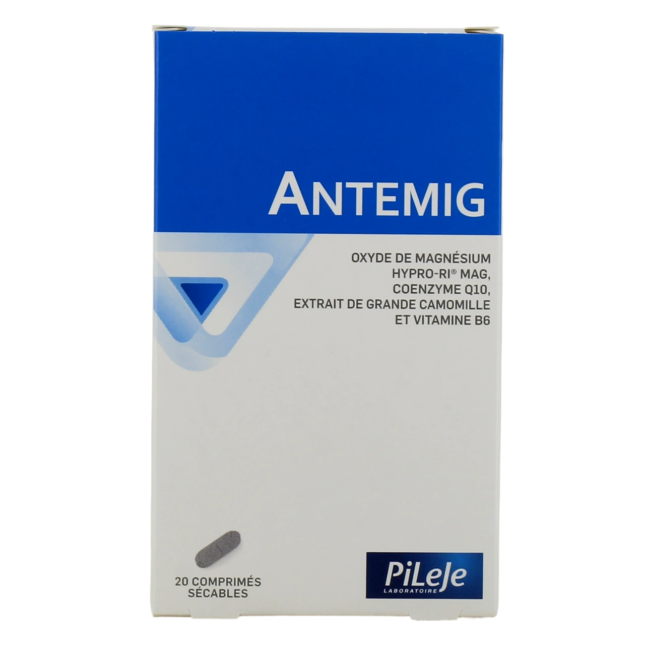 Pileje Antemig - Vue 2
