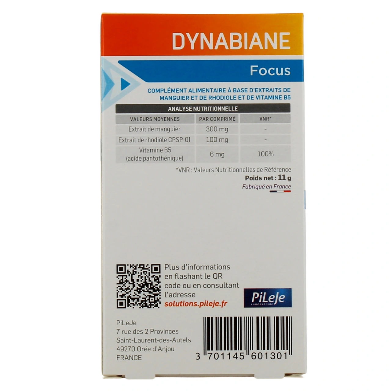 Pileje Dynabiane Focus - Vue 3