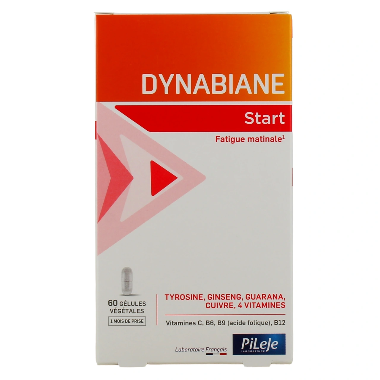 Pileje Dynabiane Start - Vue 5