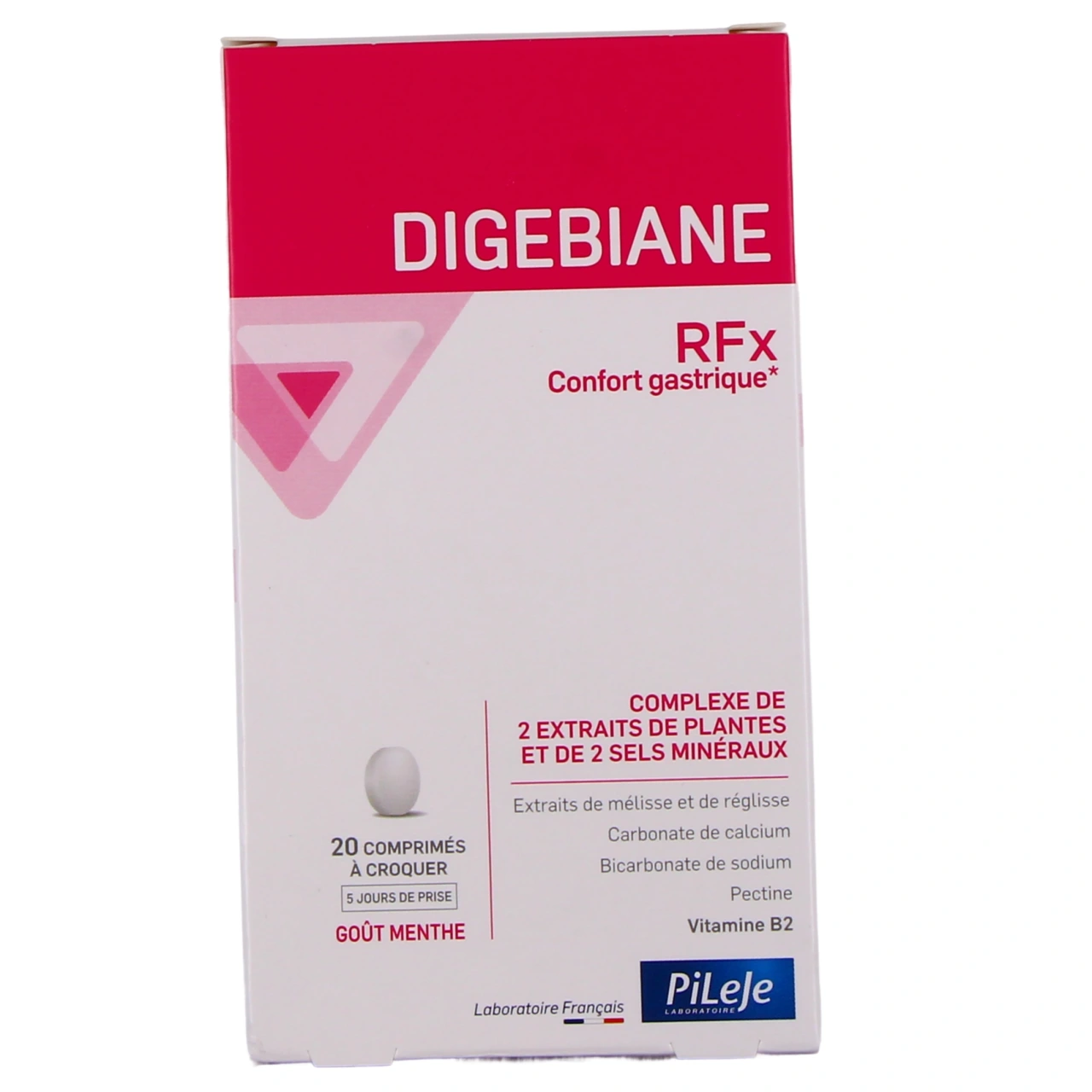 Pileje Digebiane RFx - Vue 2
