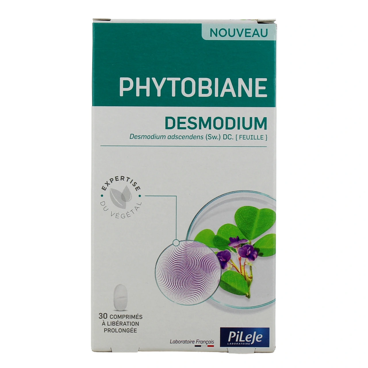 Phytobiane Desmodium - Vue 2