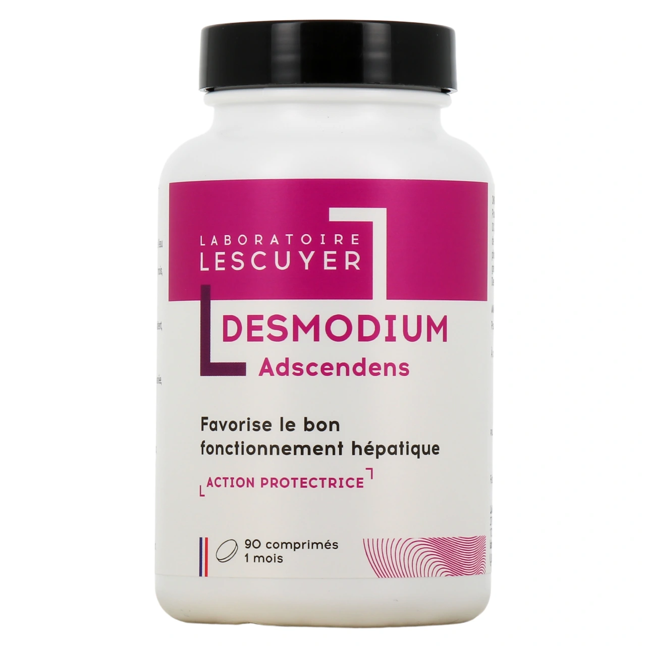 Lescuyer Desmodium Adscendens - Vue 2
