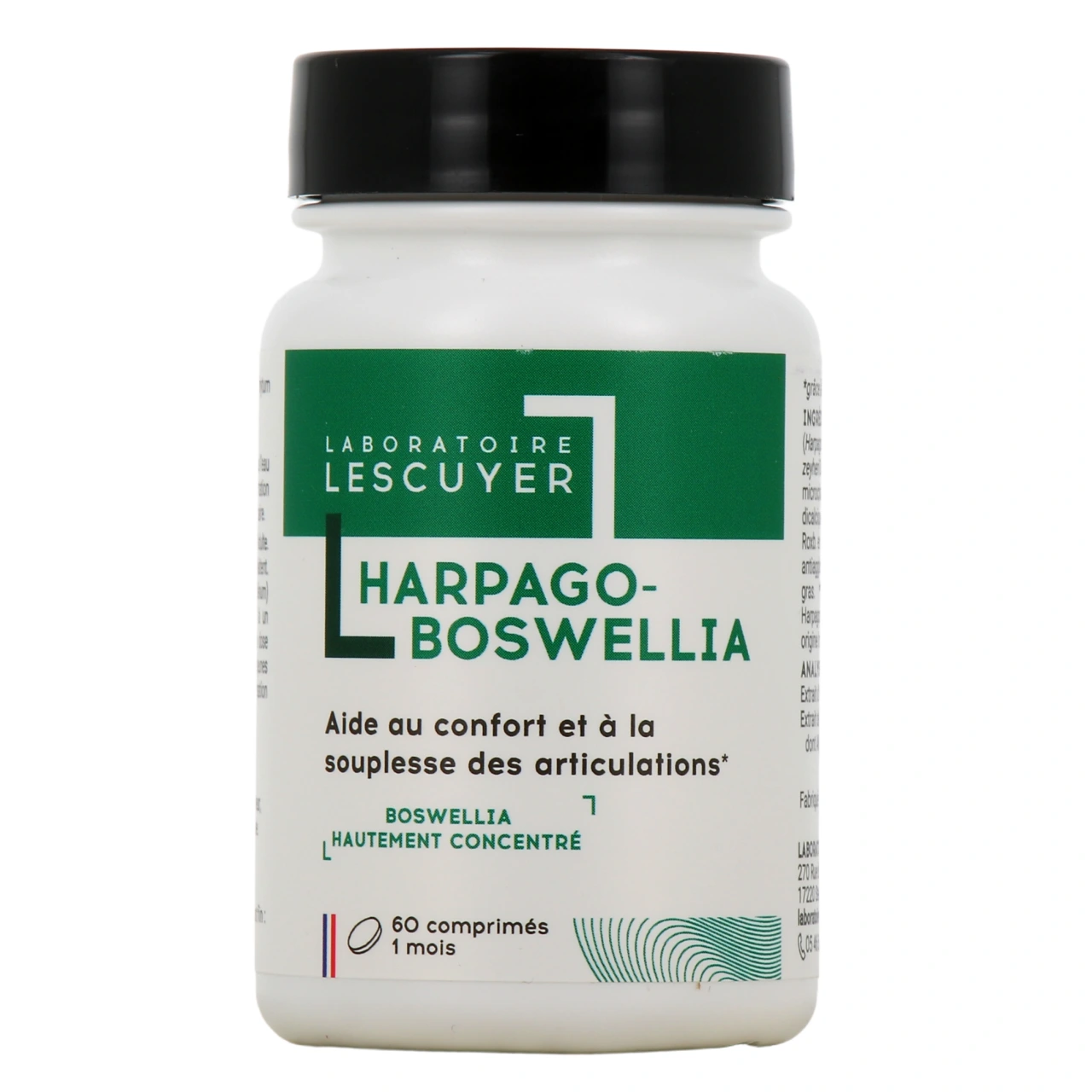 Lescuyer Harpago-Boswellia - Vue 2