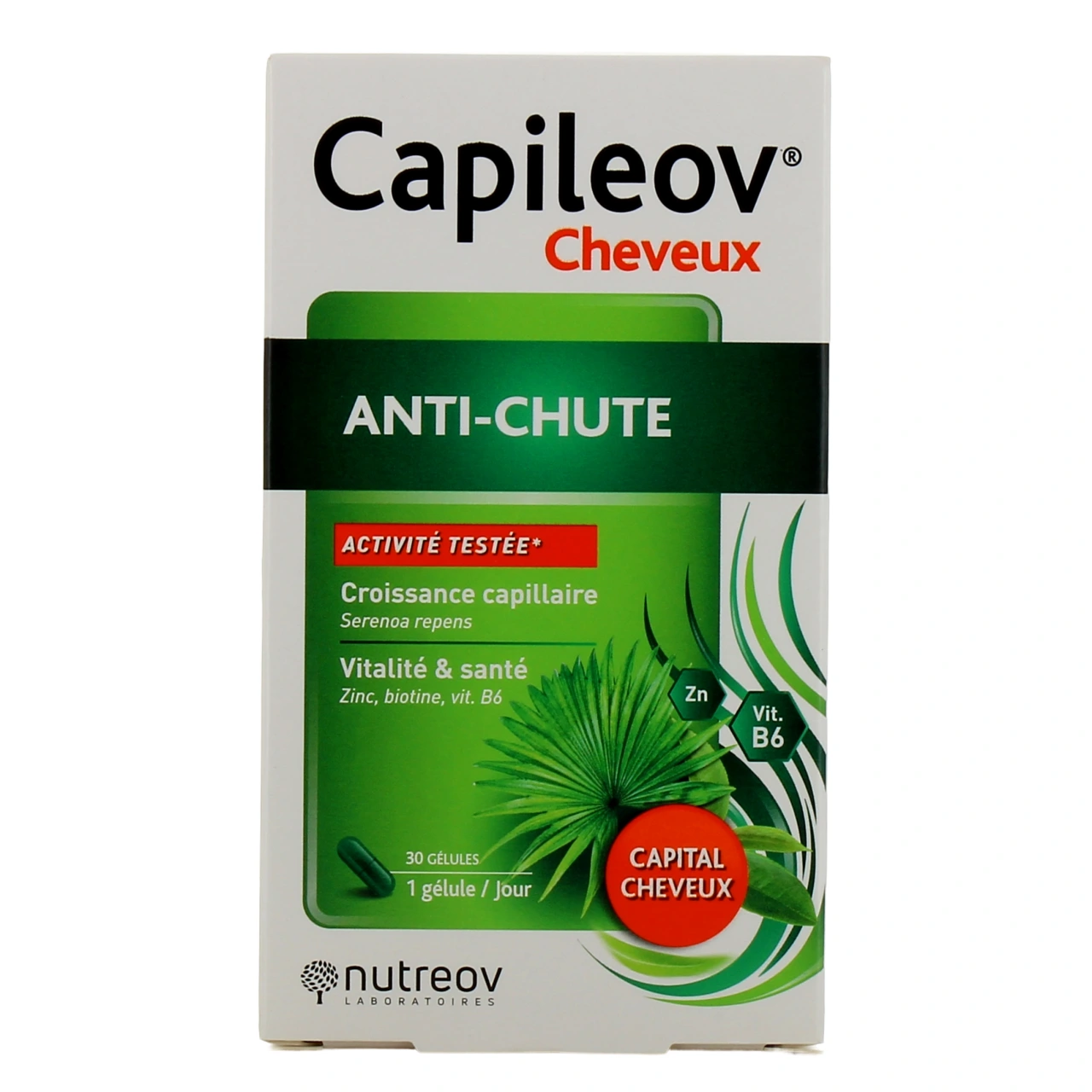 Capileov Anti-Chute - Vue 2