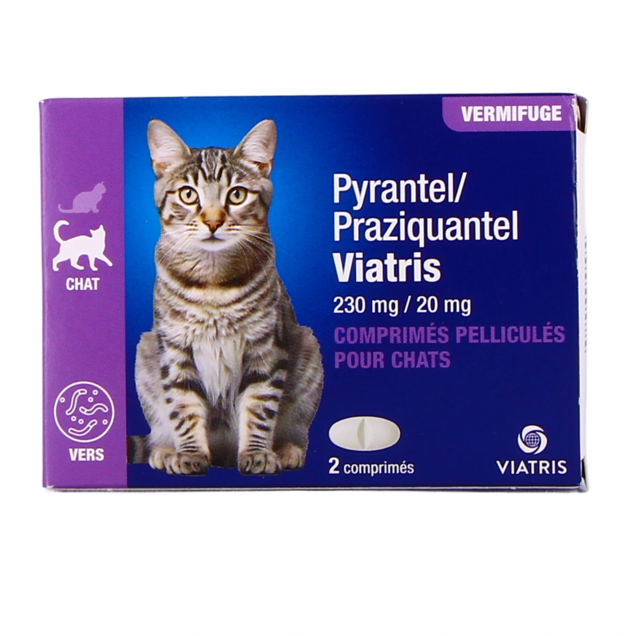 Pyrantel Praziquantel - Vue 3