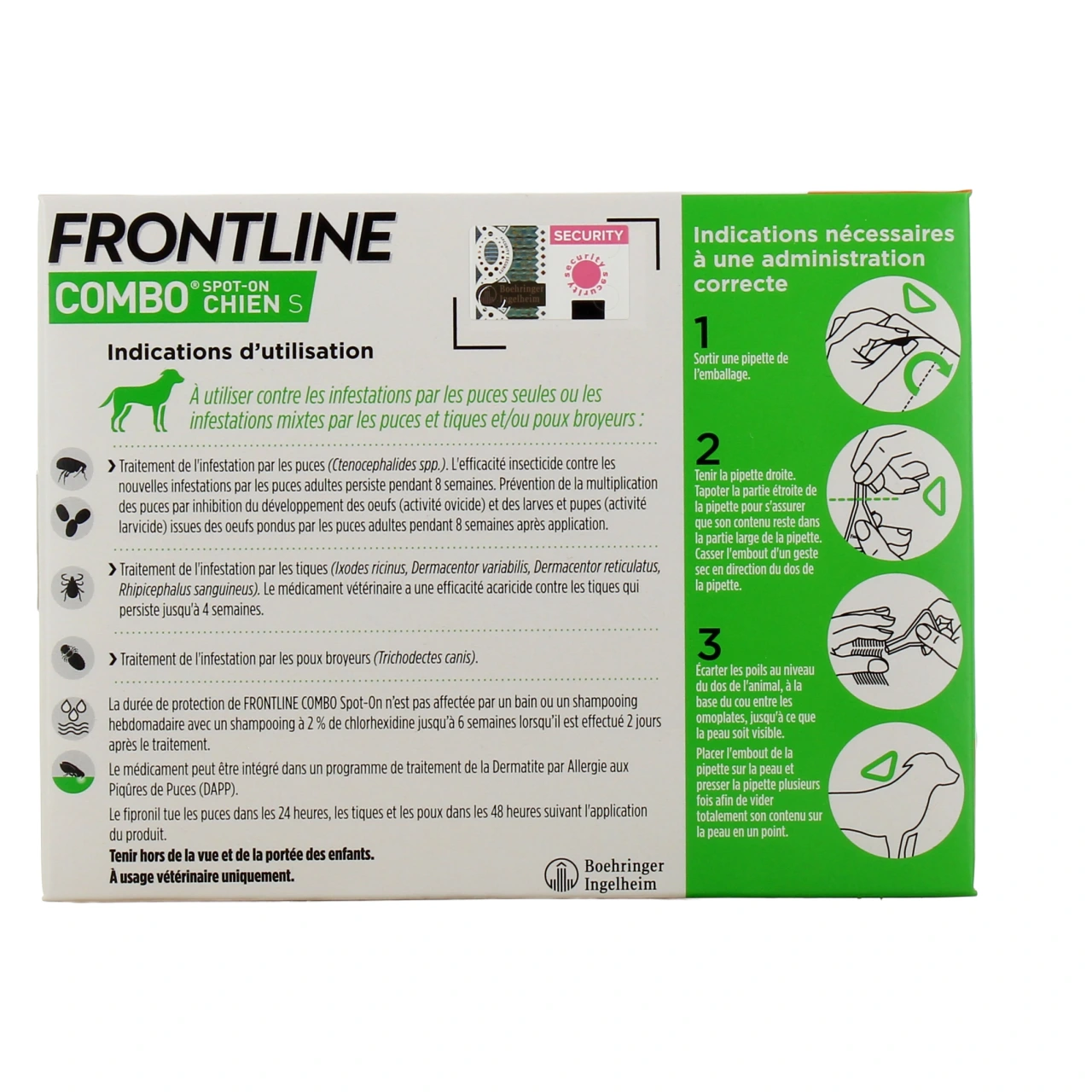 Frontline Combo Chien - Vue 3