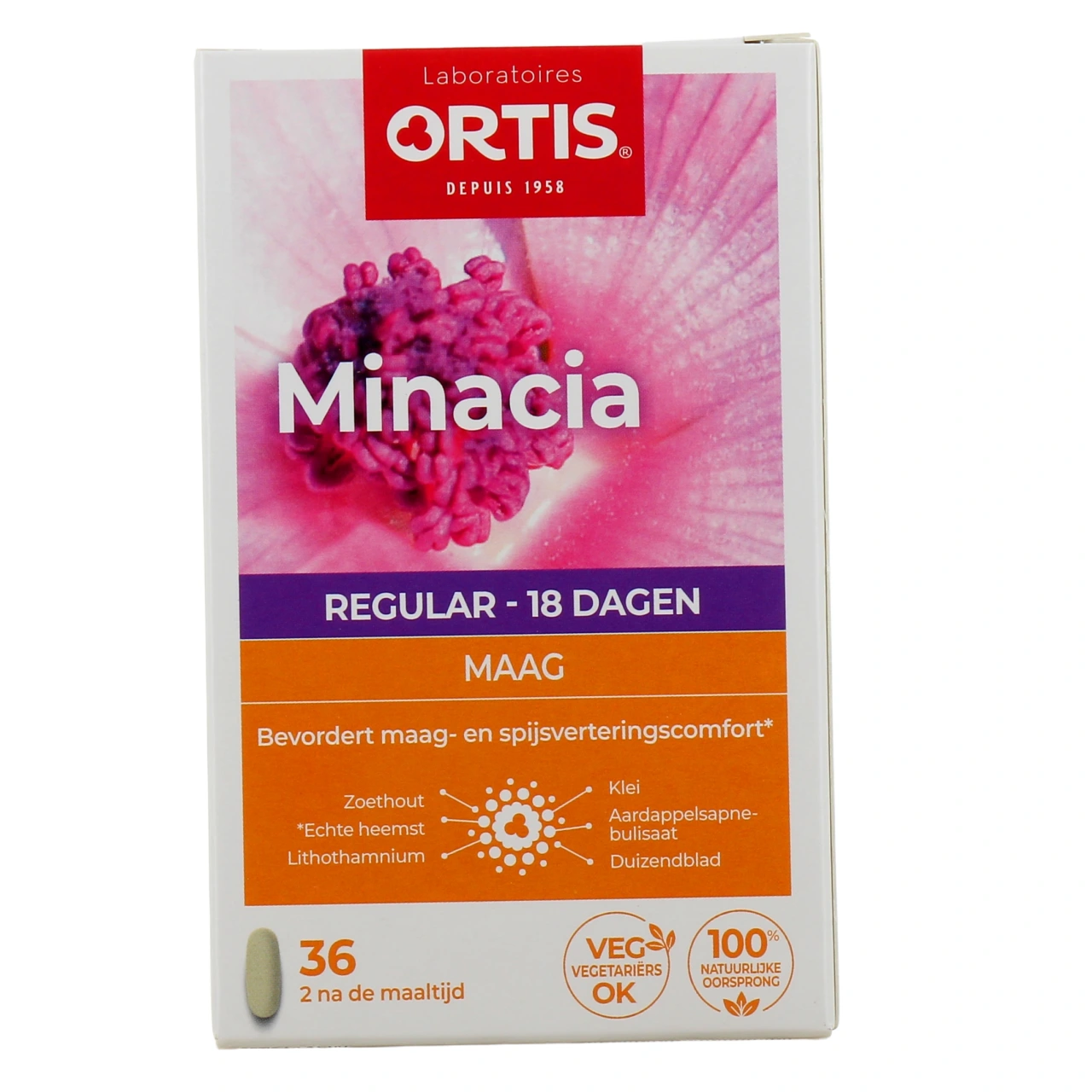 Ortis Minacia Regular - Vue 3
