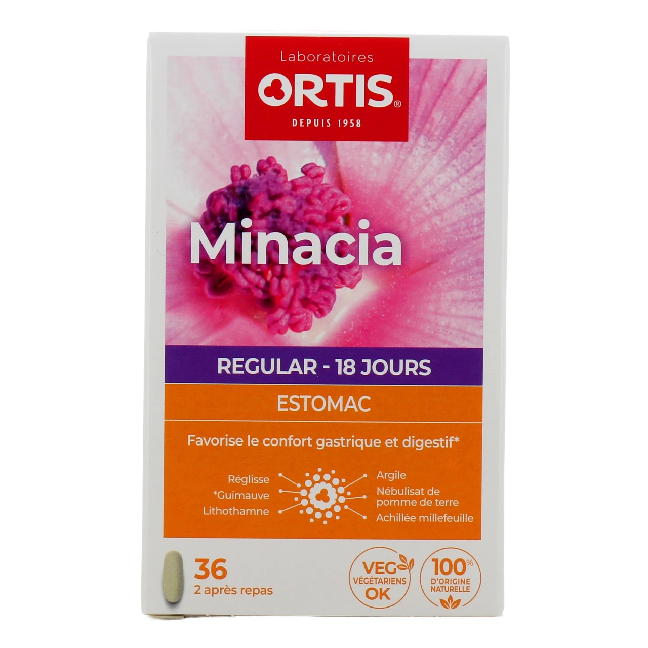 Ortis Minacia Regular - Vue 2