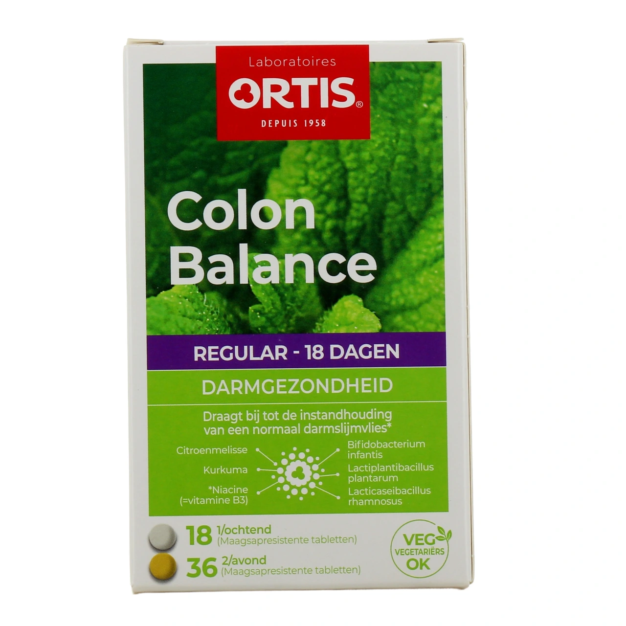 Ortis Colon Balance Regular - Vue 3