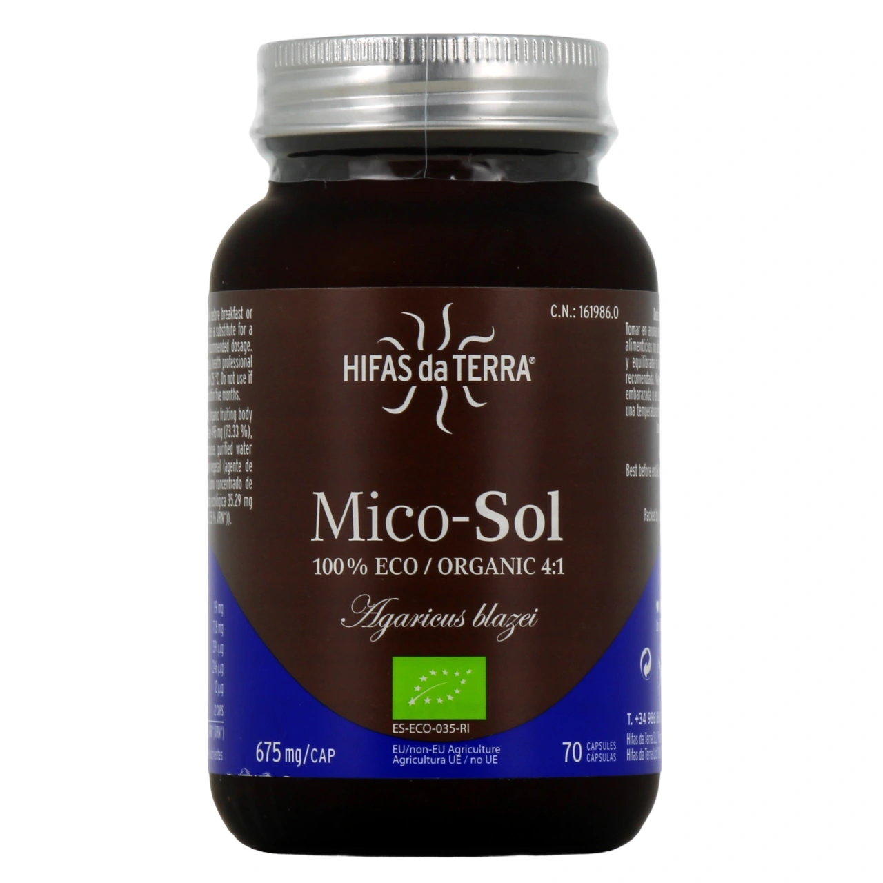 Hifas da Terra Mico-Sol - Vue 2