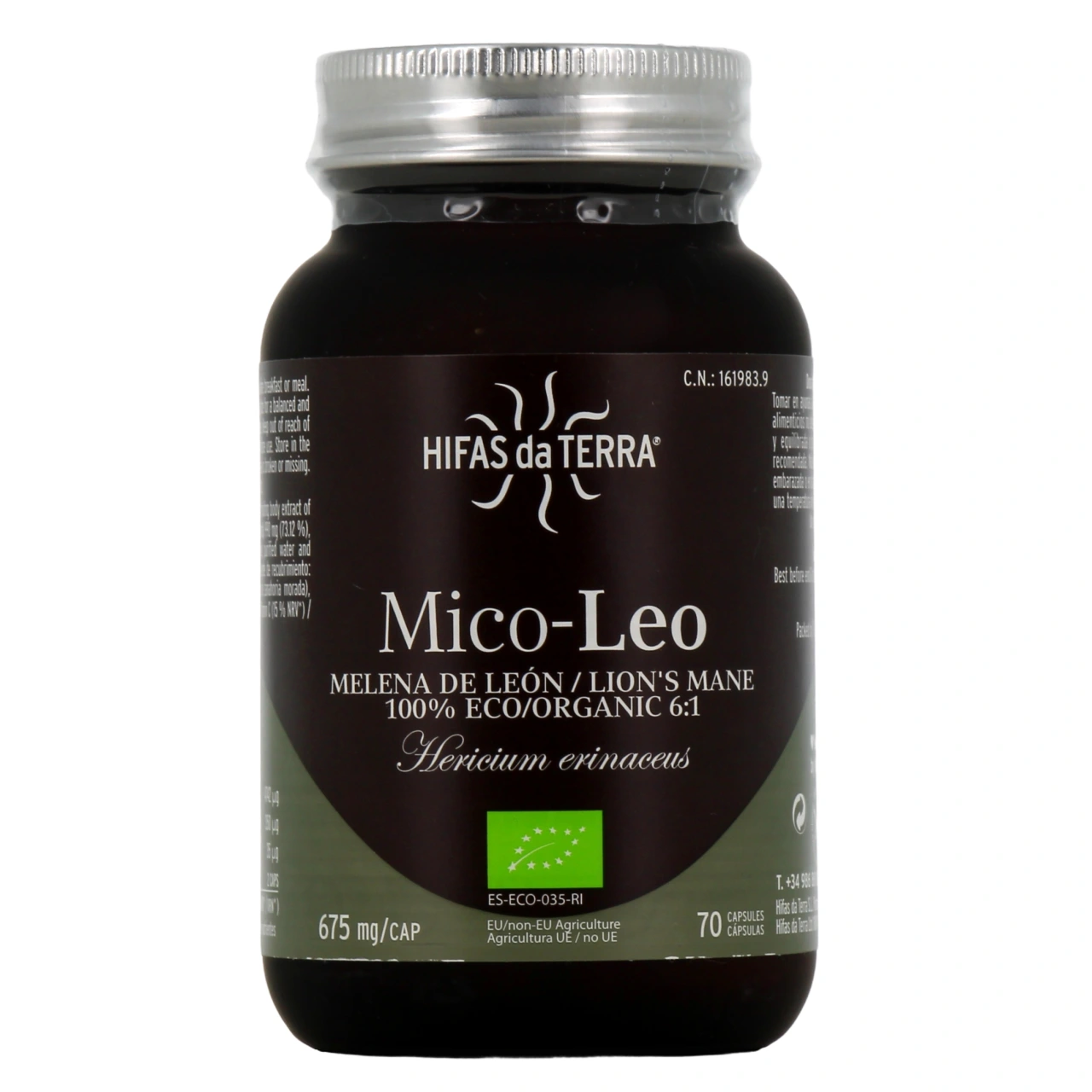 Hifas da Terra Mico-Leo - Vue 2