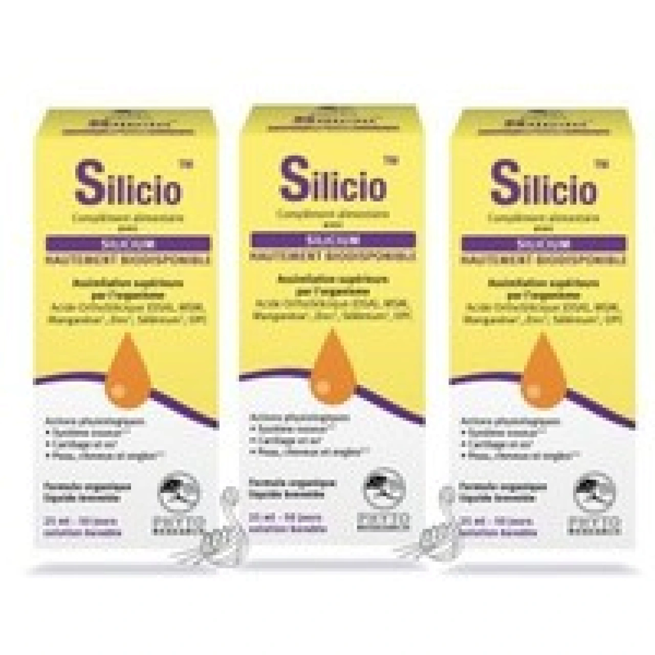 Silicio - Vue 11