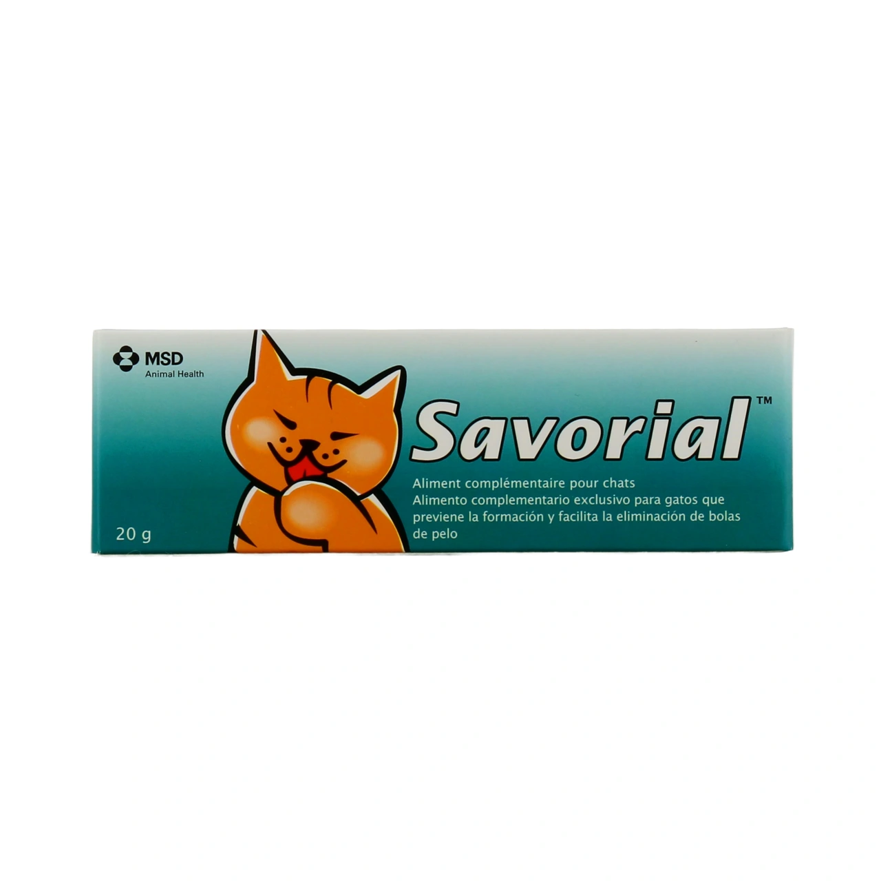 Savorial Chat - Vue 2