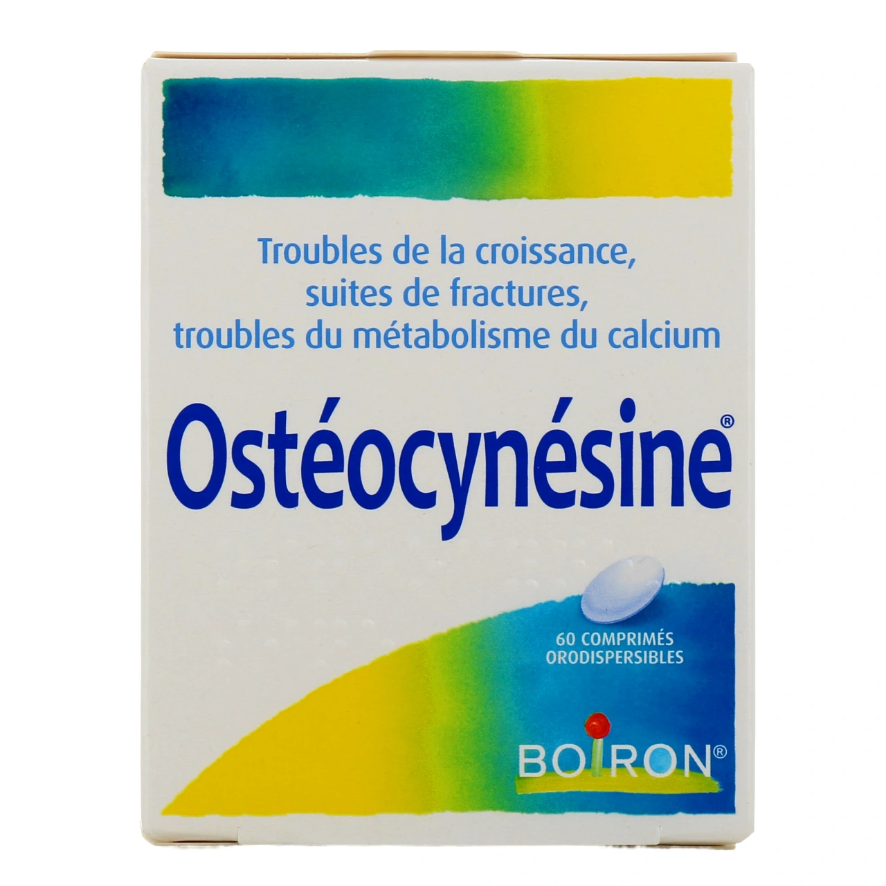 Osteocynesine - Vue 2
