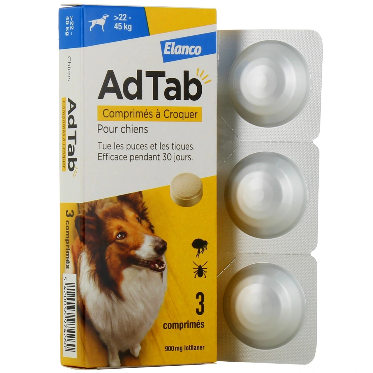 AdTab - Vue 13