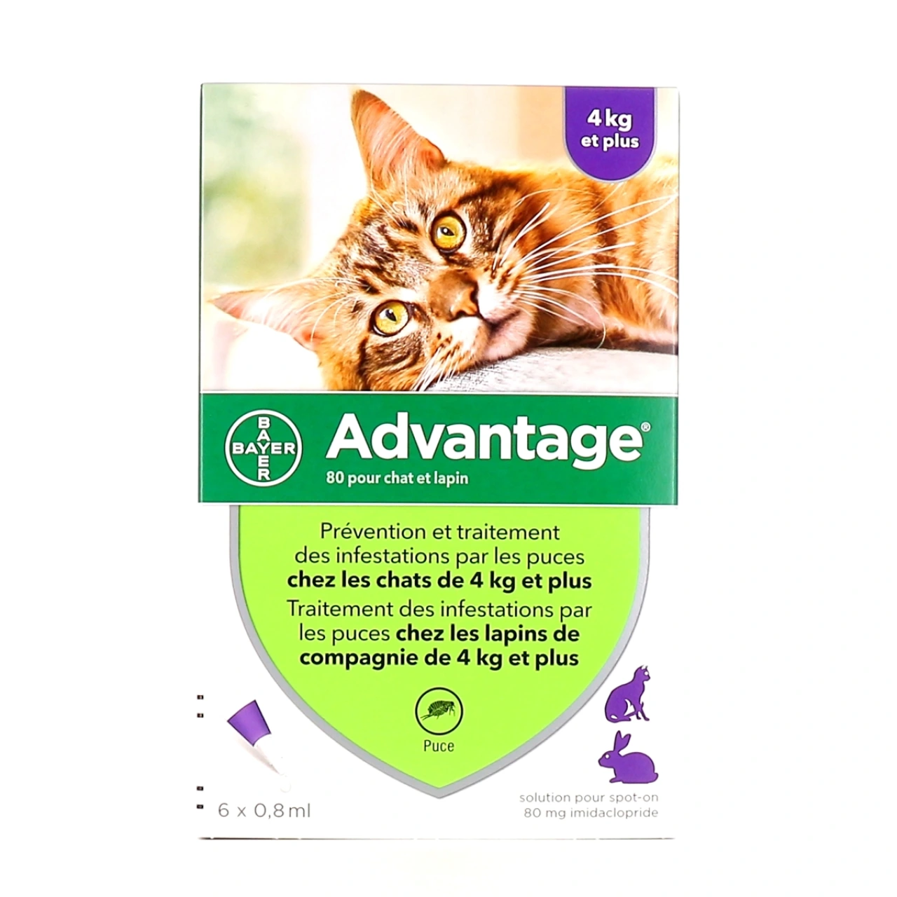 Advantage Pipettes Chat et Lapin - Bayer Animal