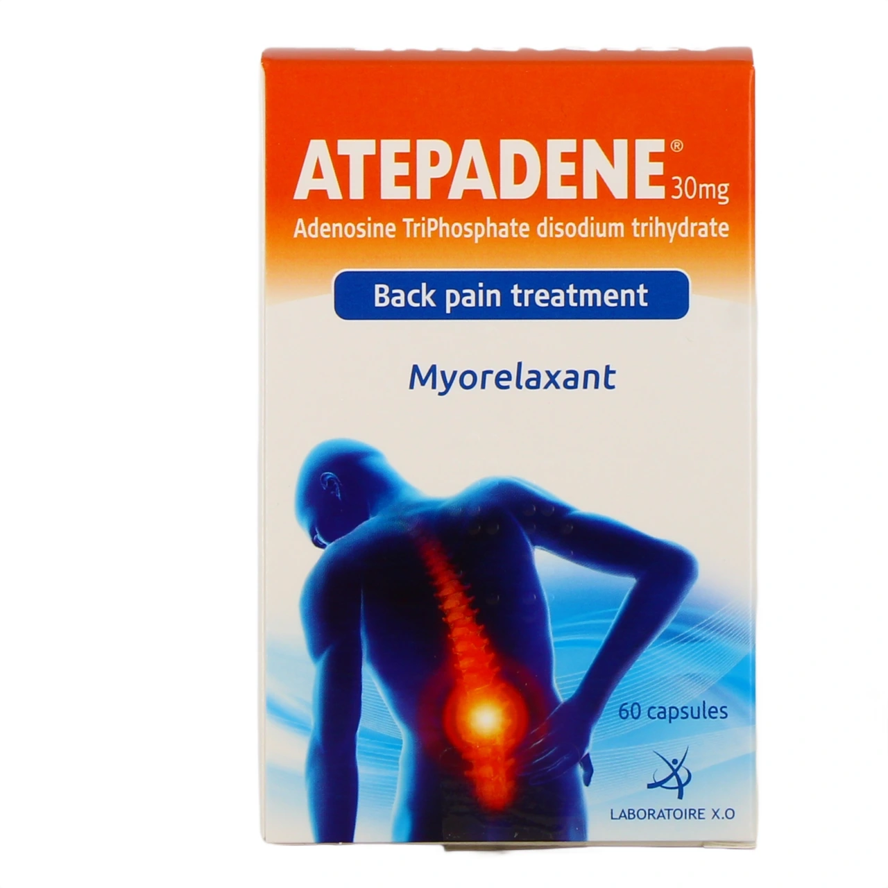 Atepadene - Vue 3