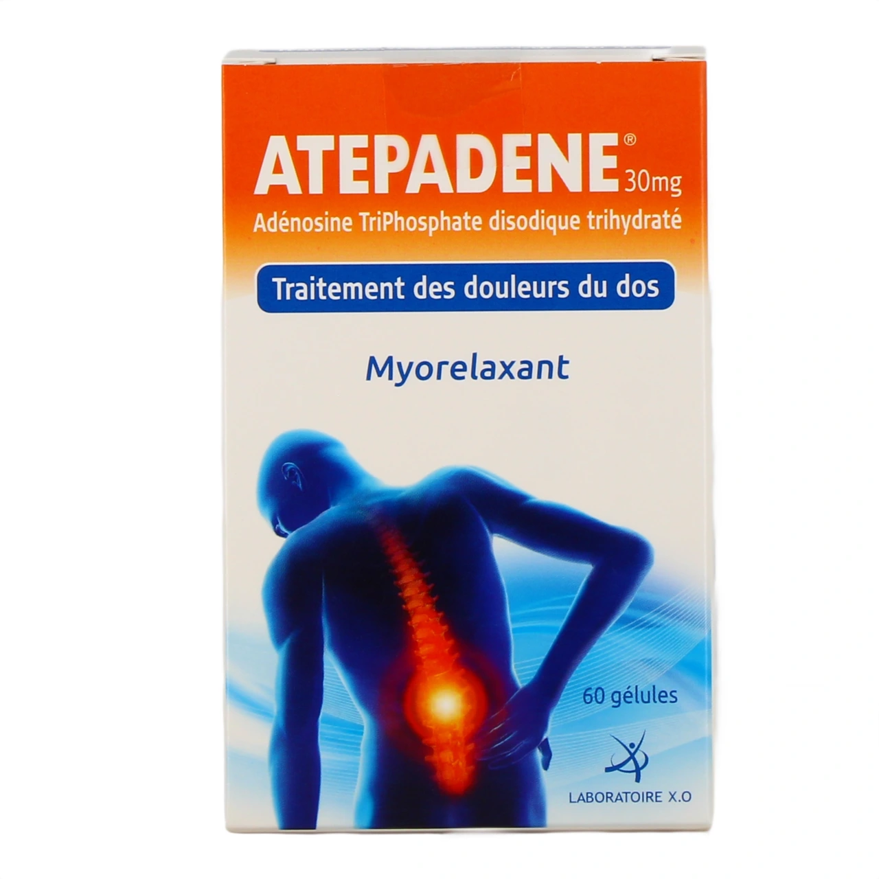 Atepadene - Vue 2