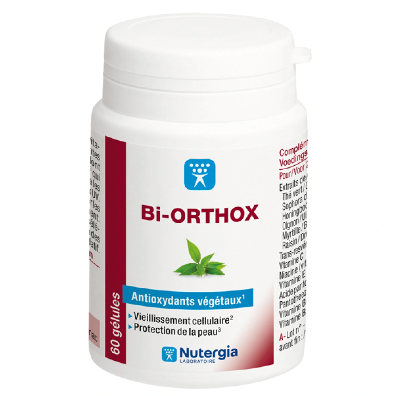 Bi-Orthox - Vue 5