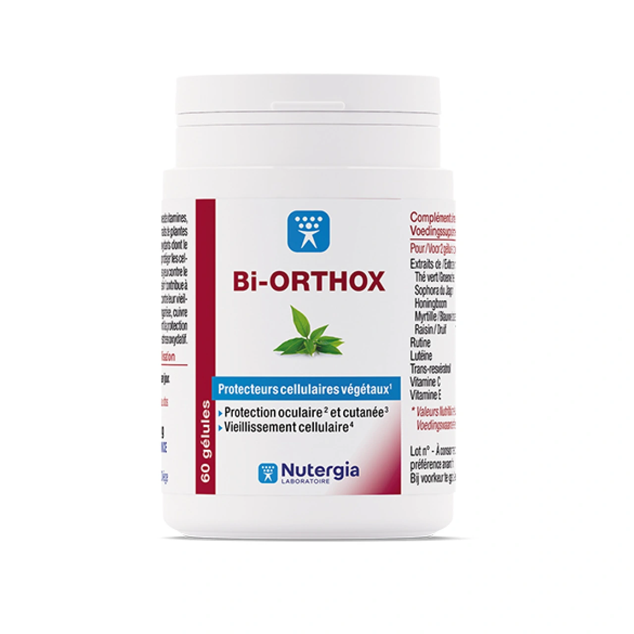 Bi-Orthox - Vue 4