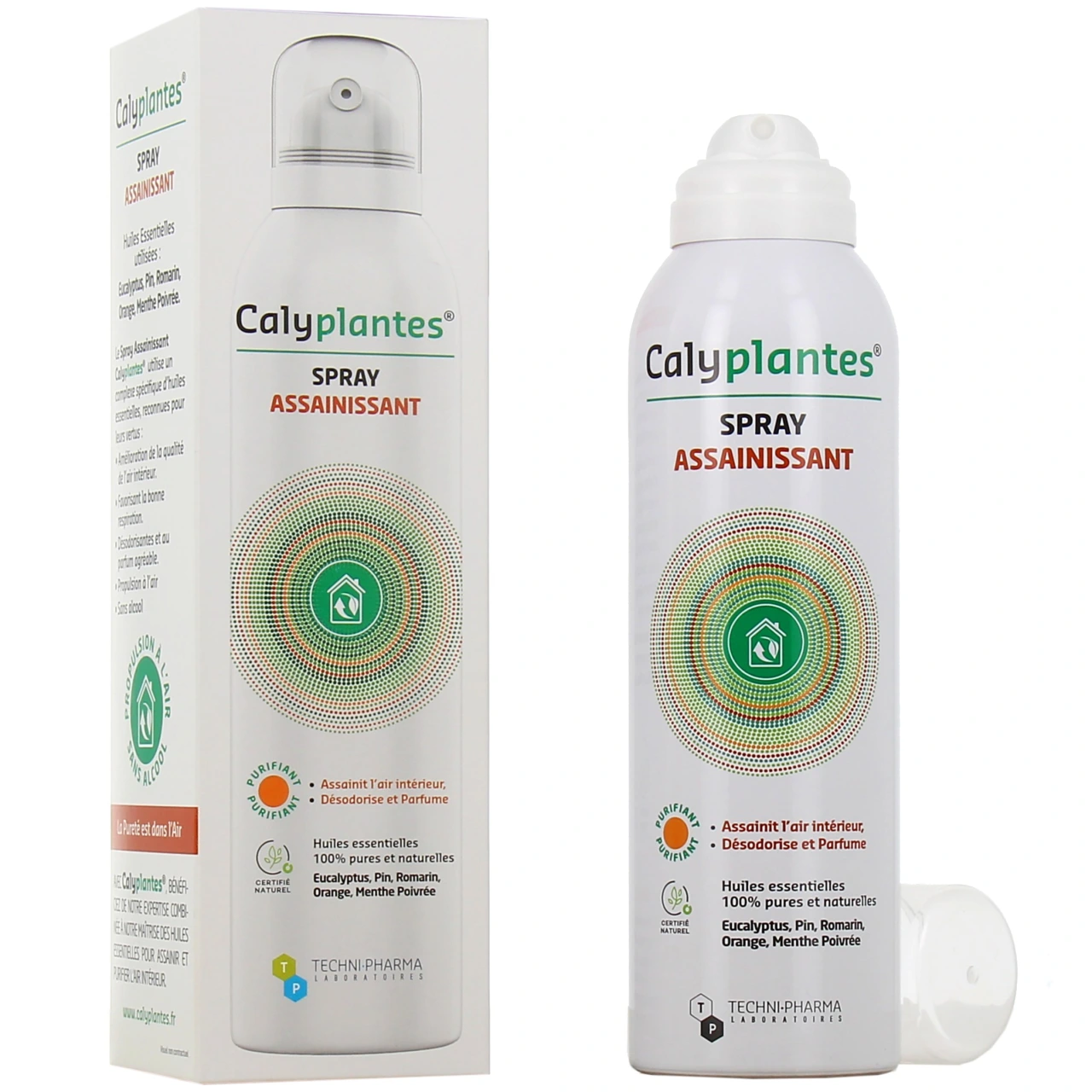 Calyplantes - Vue 4