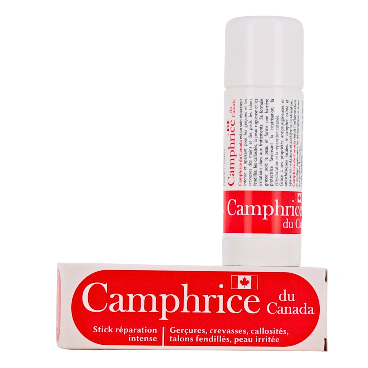 Camphrice du Canada - Sorifa