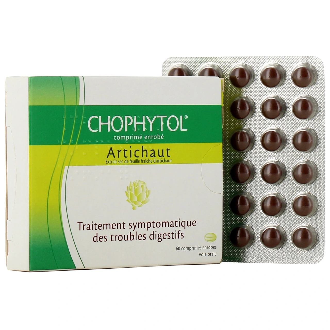 Chophytol - Vue 7