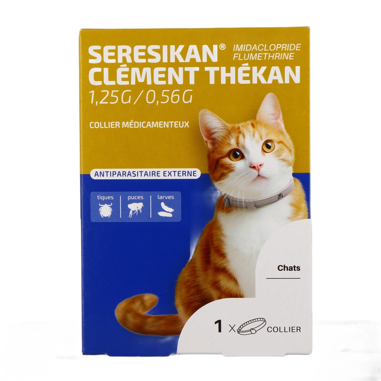 Clément Thékan Seresikan - Vue 2