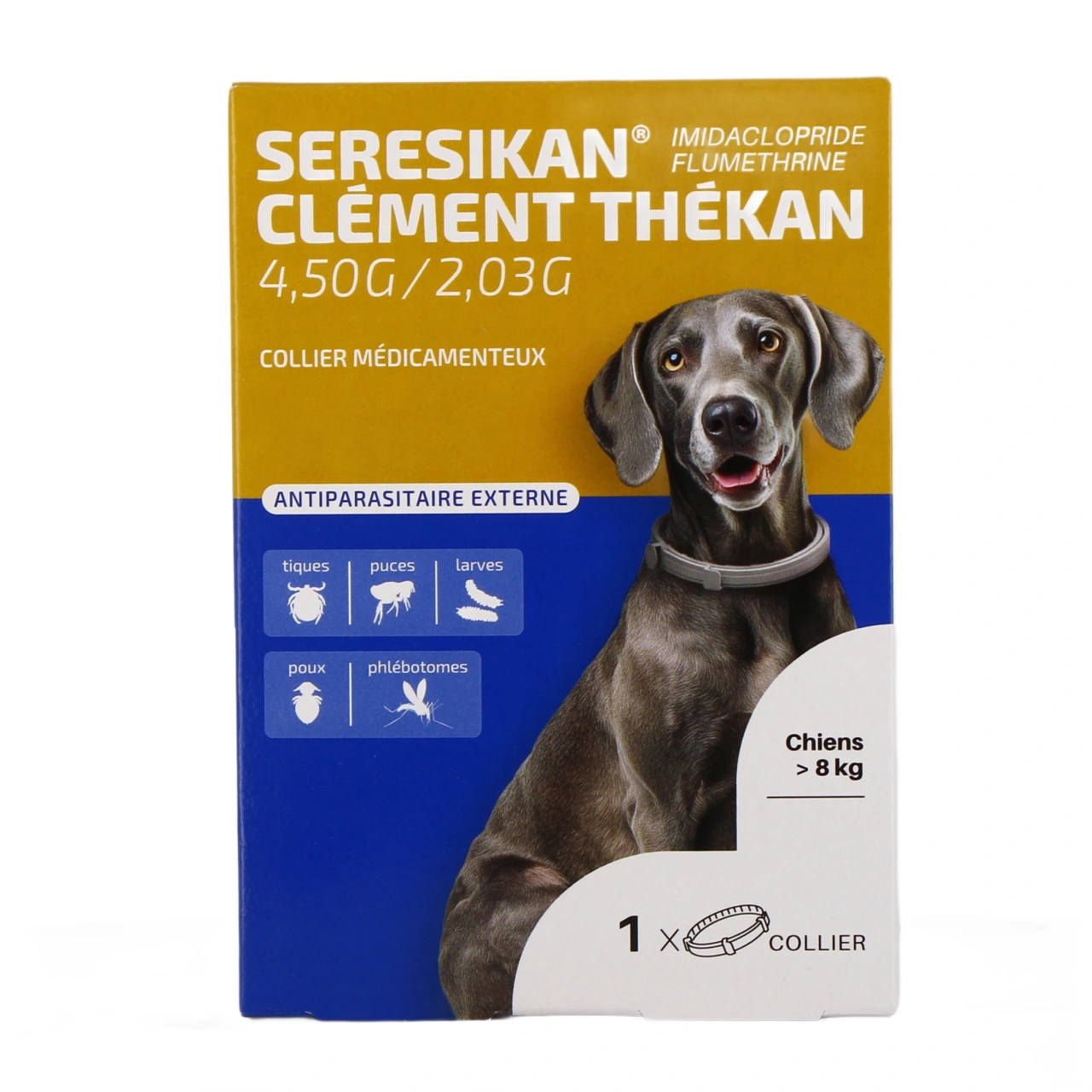 Clément Thékan Seresikan - Vue 8