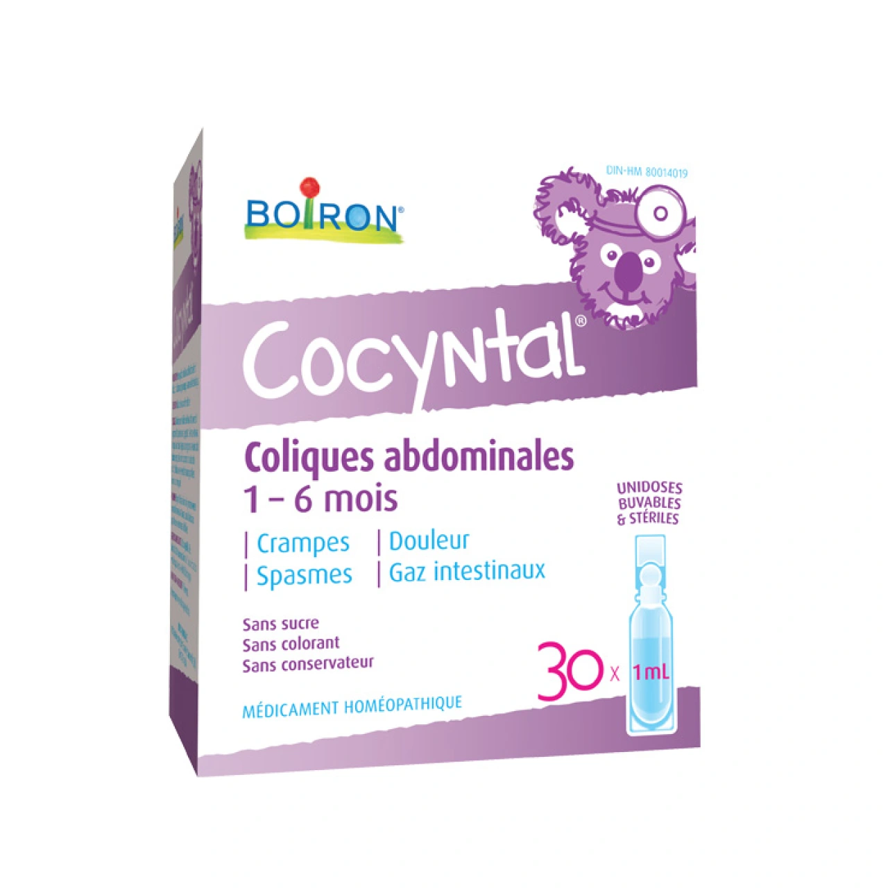 Cocyntal - Vue 6