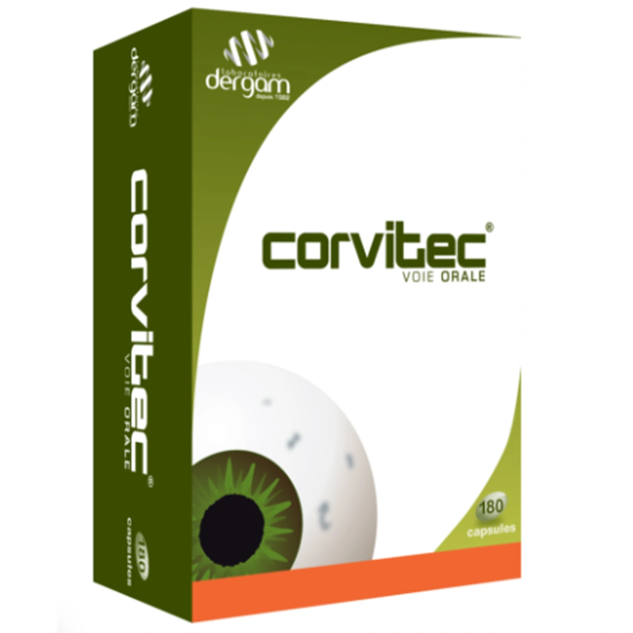 Corvitec - Vue 7