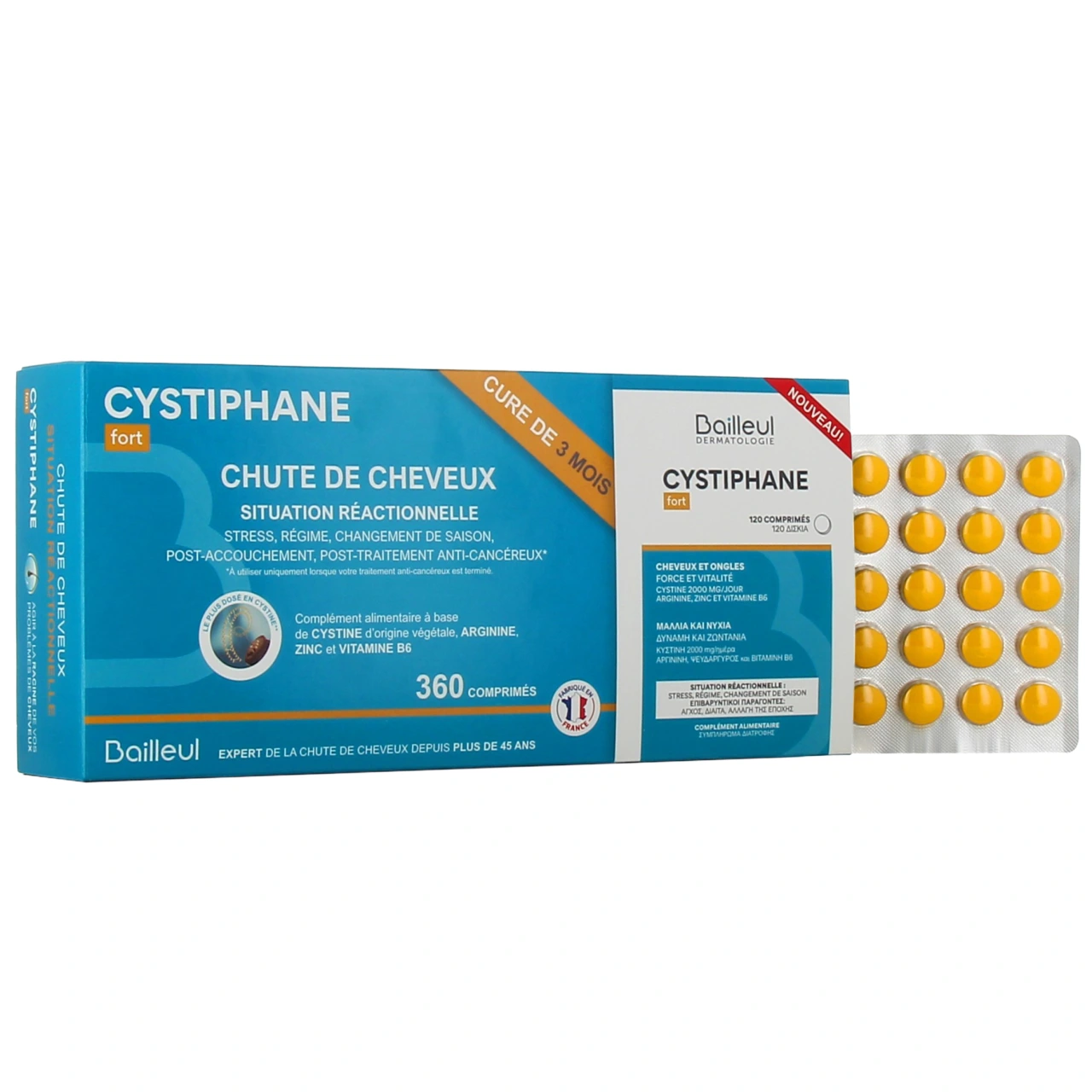 Cystiphane Fort Situation Réactionnelle - Vue 4