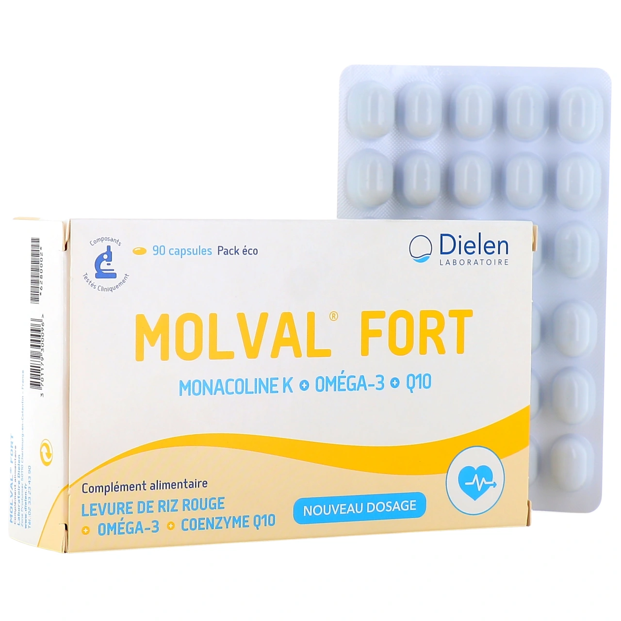 Dielen Molval Fort - Vue 3