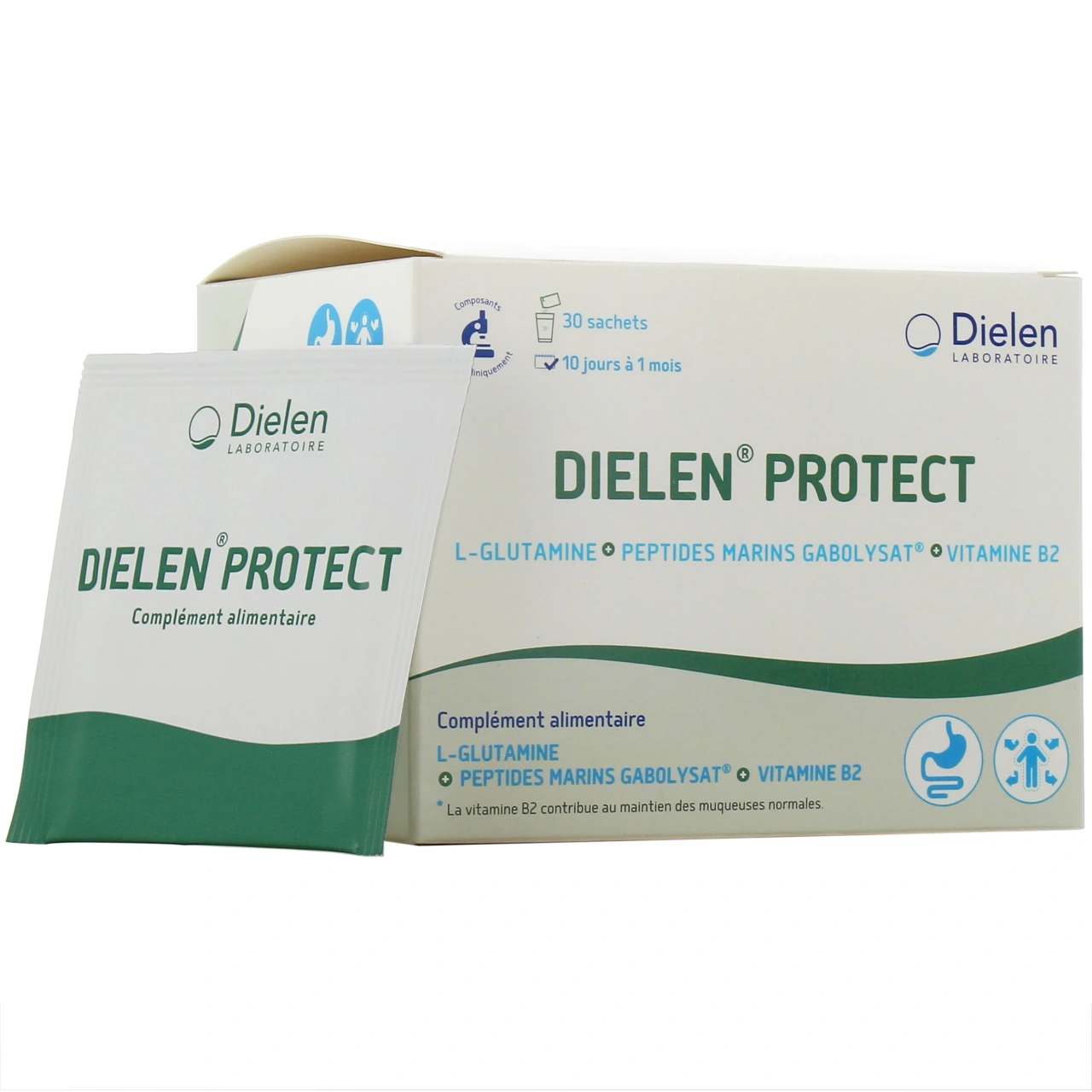 Dielen Protect - Vue 4