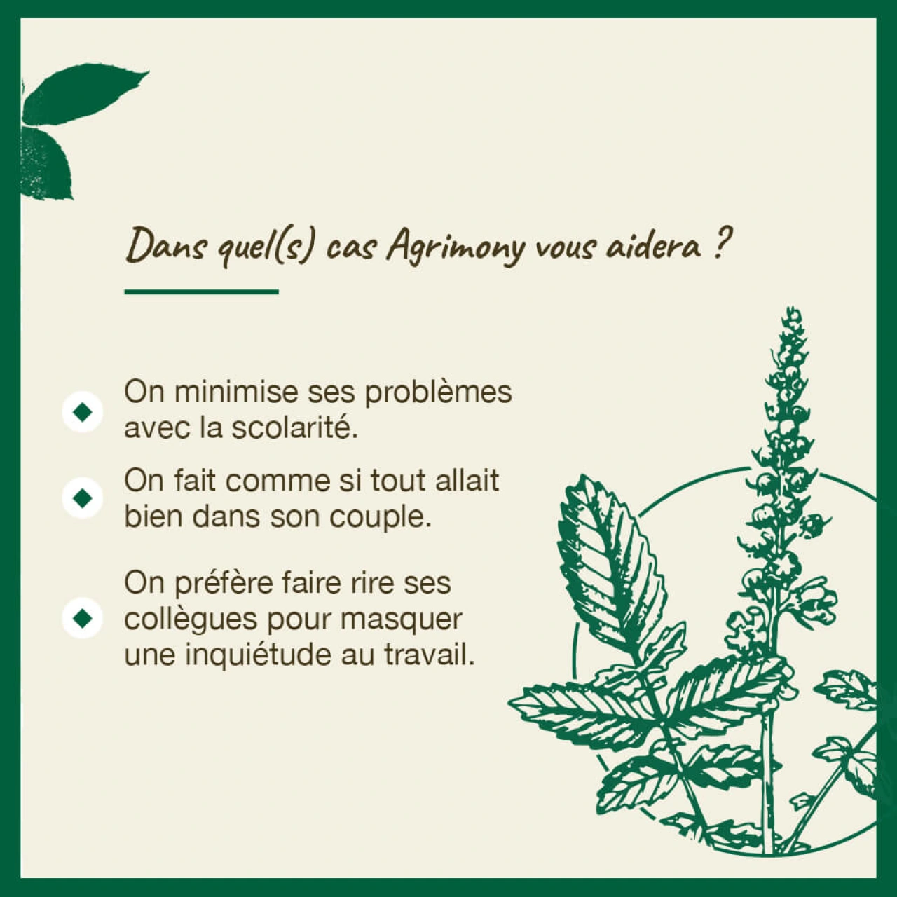Fleurs de Bach Agrimony n°1 - Vue 6