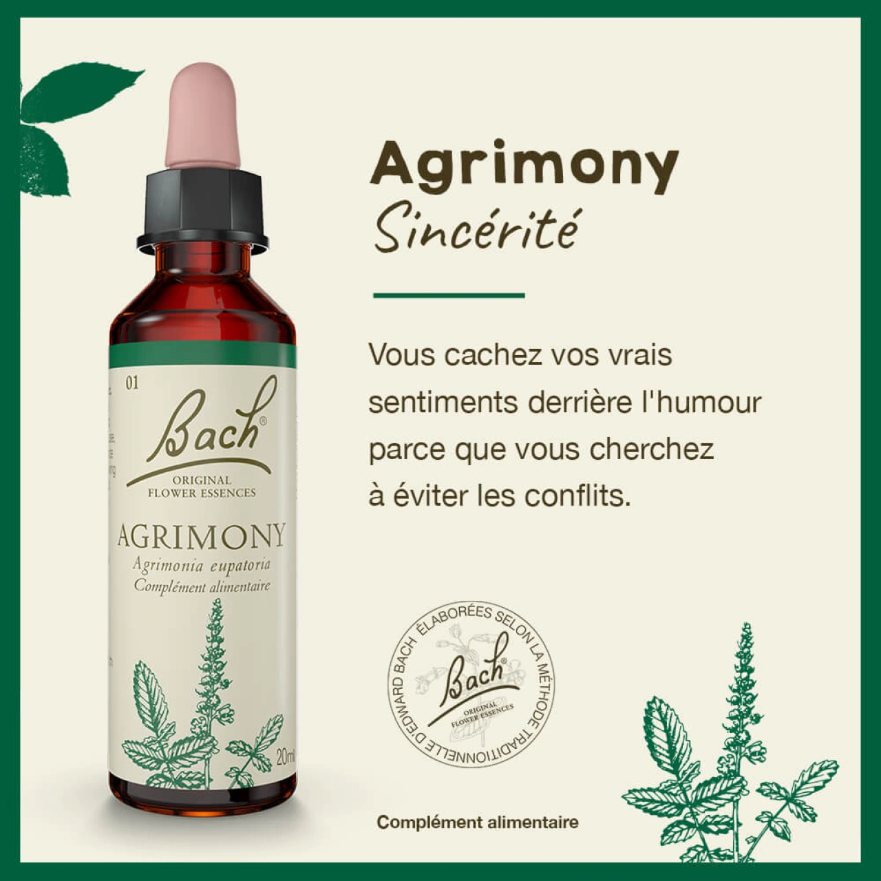 Fleurs de Bach Agrimony n°1 - Vue 4