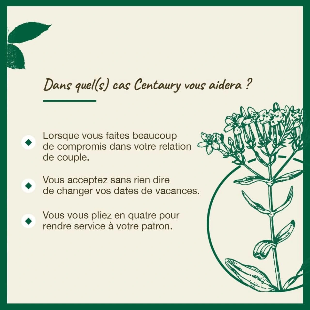 Fleurs de Bach Centaury n°4 - Vue 8
