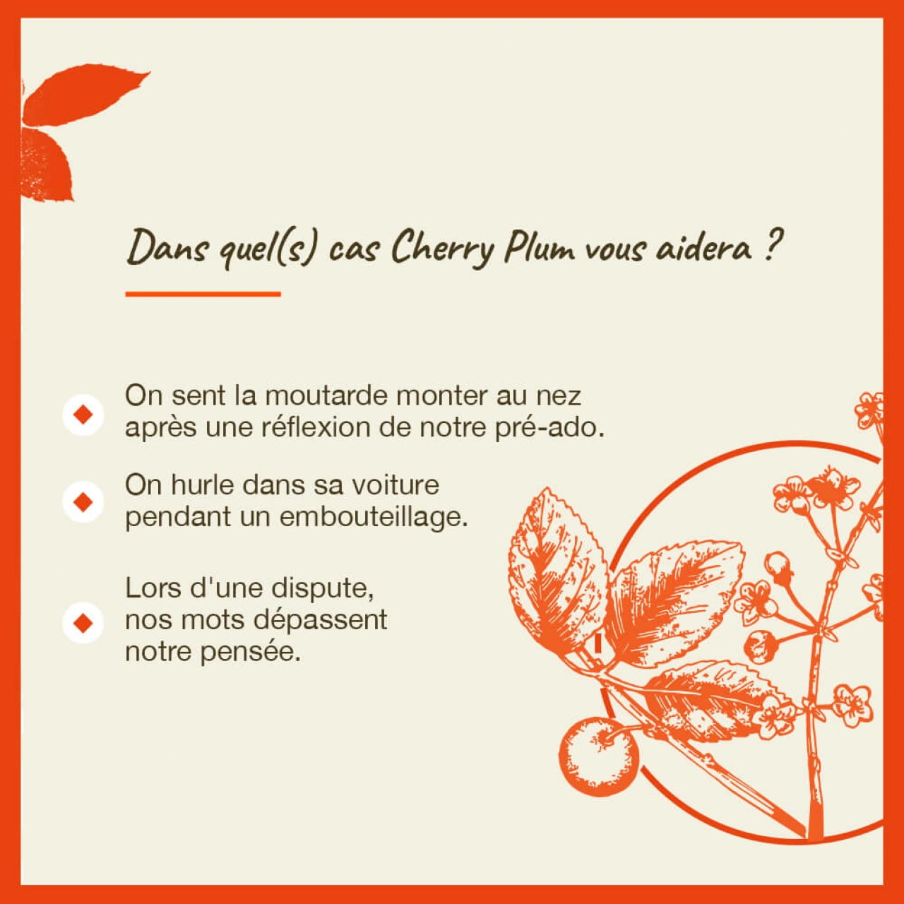 Fleurs de Bach Cherry Plum n°6 - Vue 10