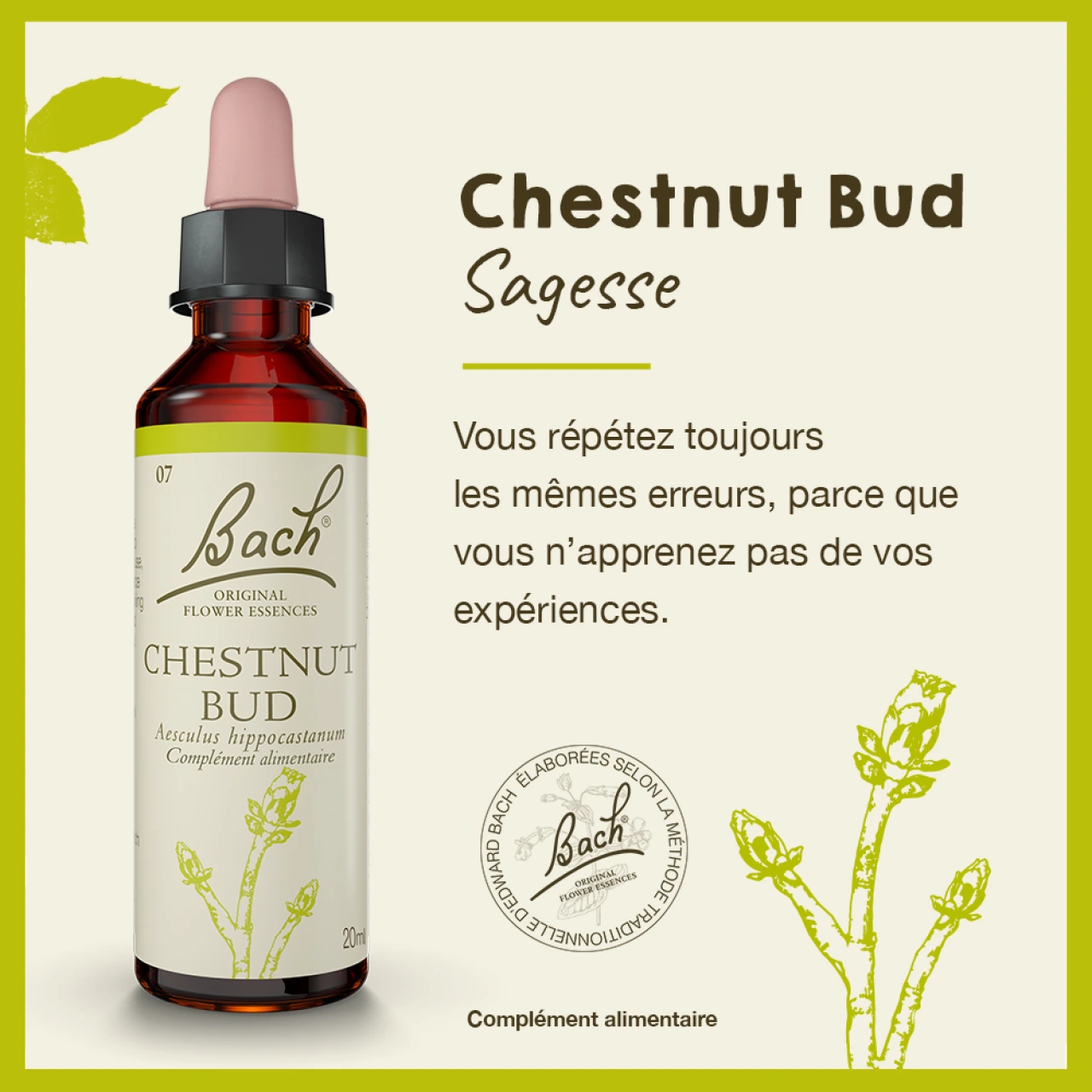Fleurs de Bach Chestnut Bud n°7 - Vue 5