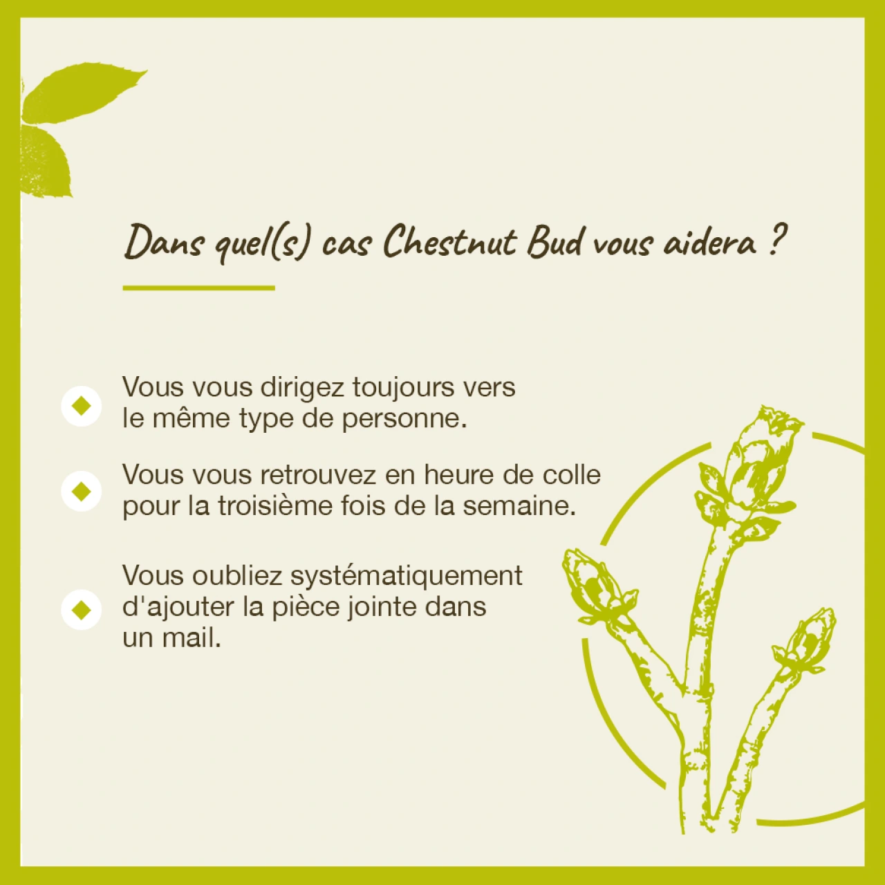 Fleurs de Bach Chestnut Bud n°7 - Vue 6