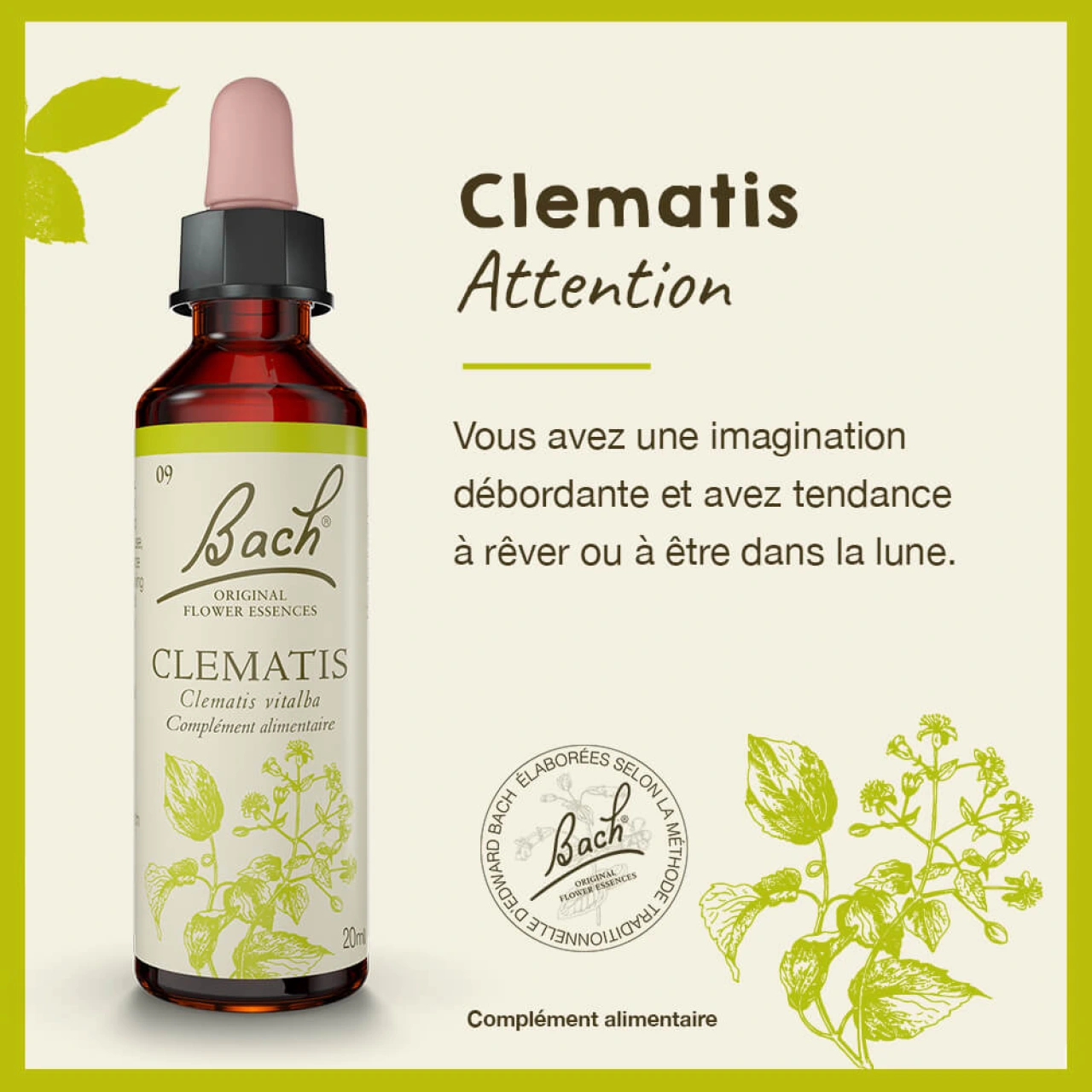 Fleurs de Bach Clematis n°9 - Vue 4