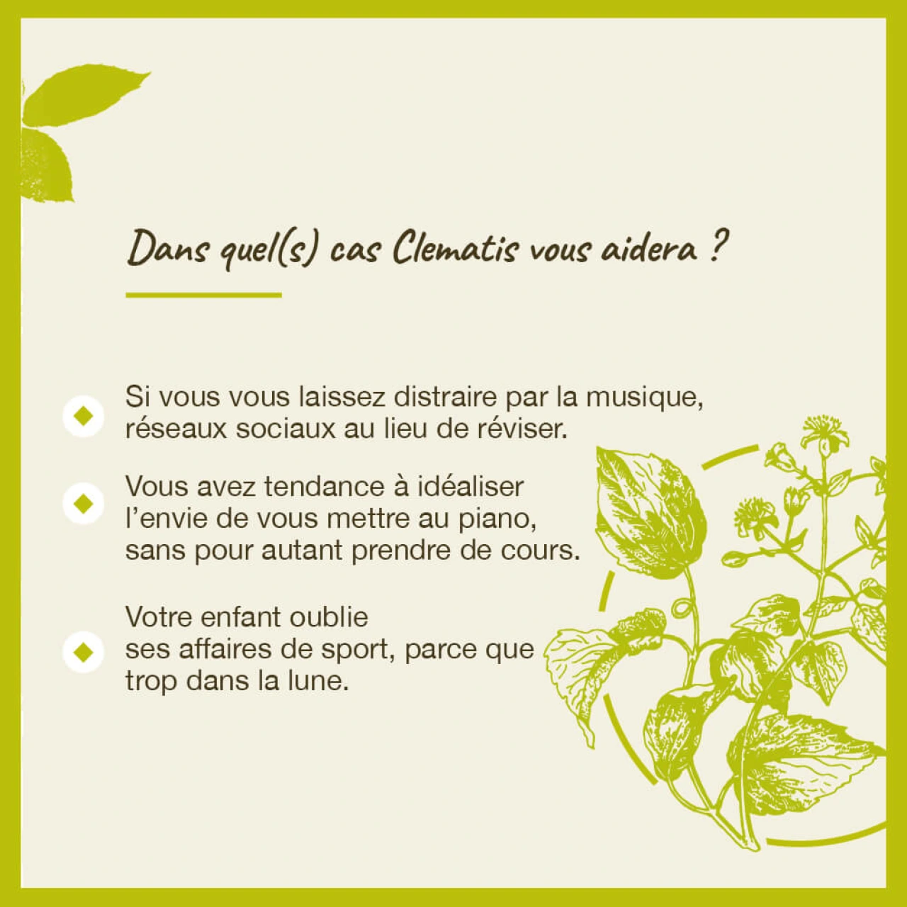 Fleurs de Bach Clematis n°9 - Vue 6