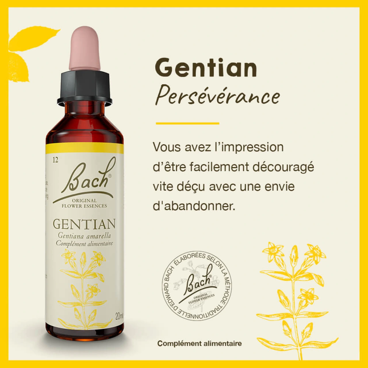 Fleurs de Bach Gentian n°12 - Vue 6