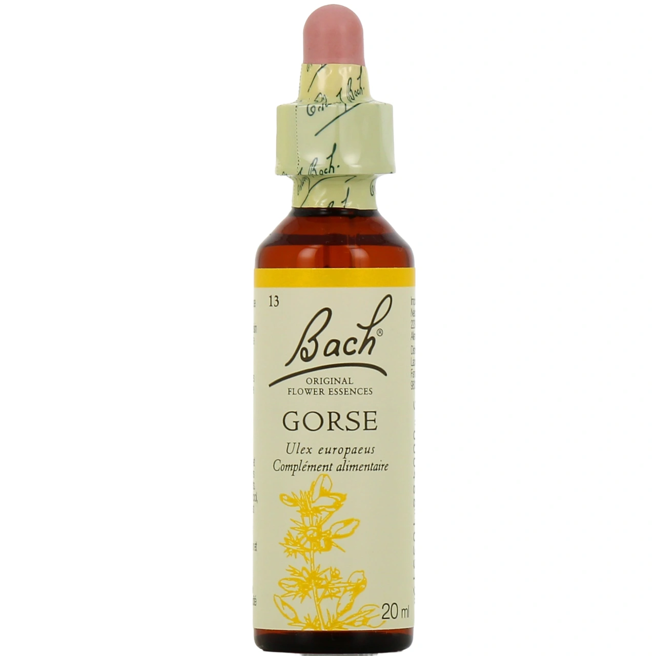 Fleurs de Bach Gorse n°13 - Fleurs de Bach