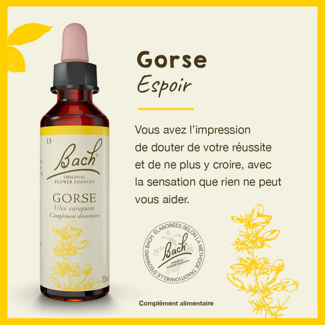 Fleurs de Bach Gorse n°13 - Vue 4