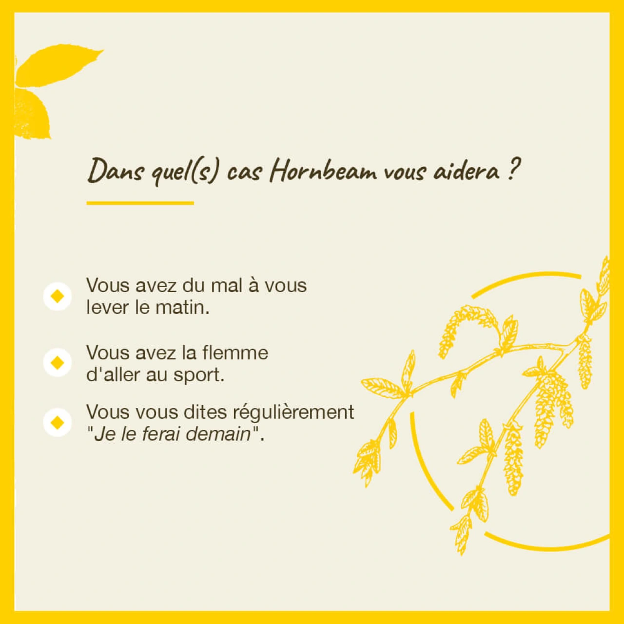 Fleurs de Bach Hornbeam n°17 - Vue 6