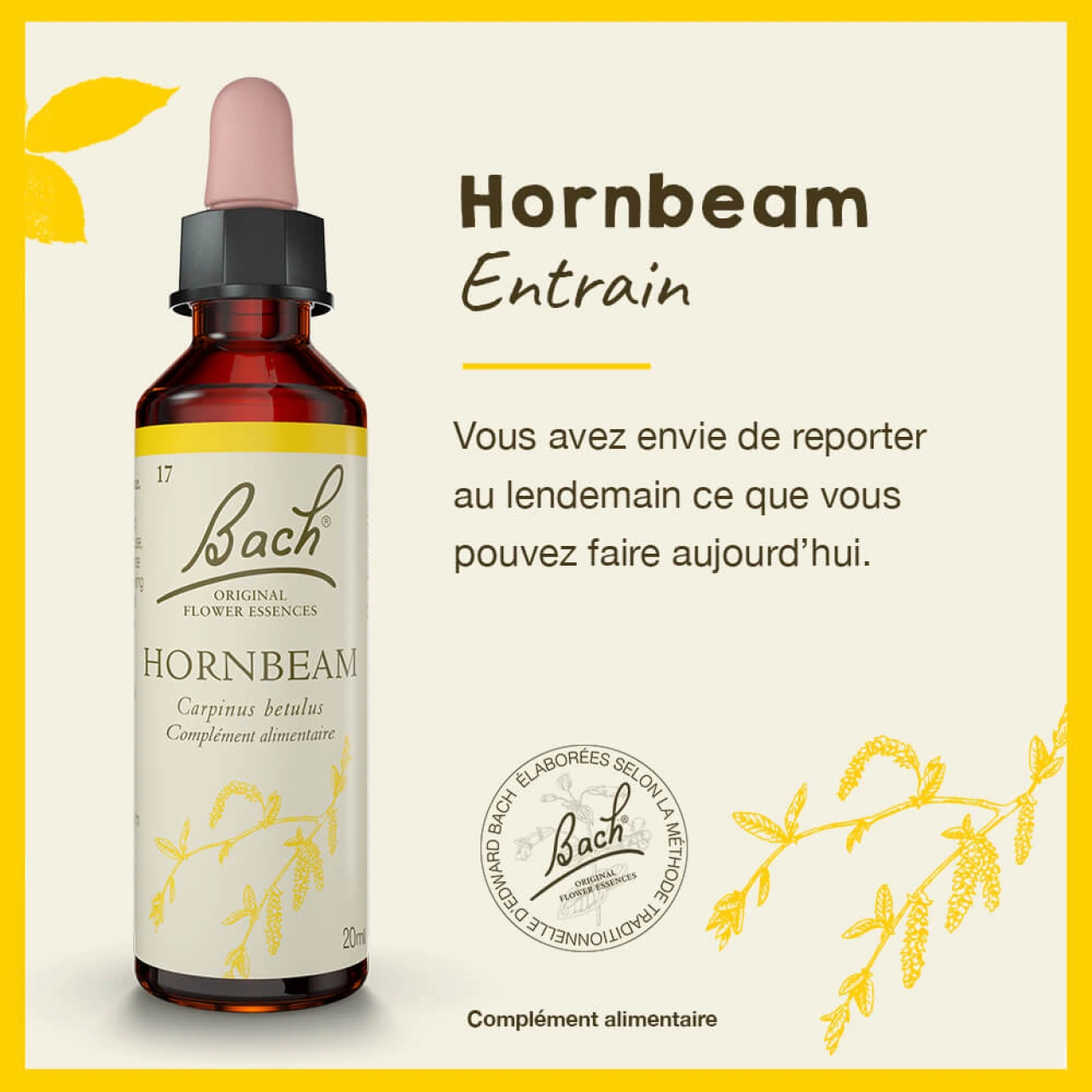 Fleurs de Bach Hornbeam n°17 - Vue 5