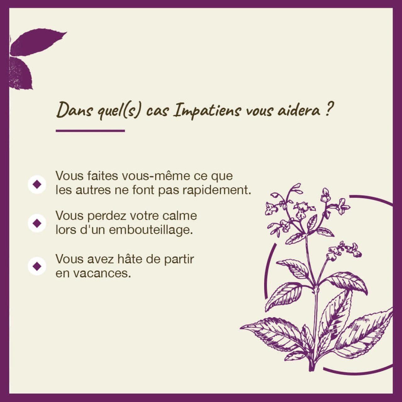 Fleurs de Bach Impatiens n°18 - Vue 8
