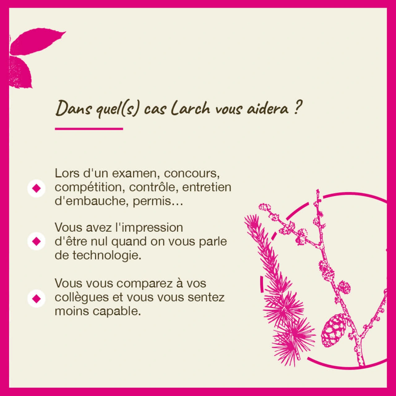 Fleurs de Bach Larch n°19 - Vue 8